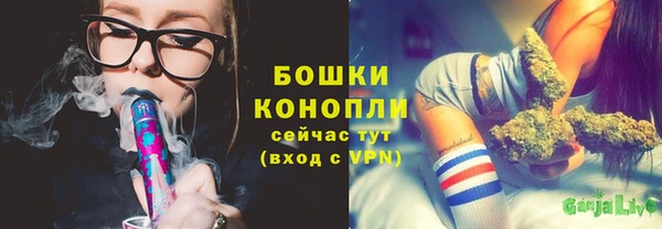 крисы Абдулино