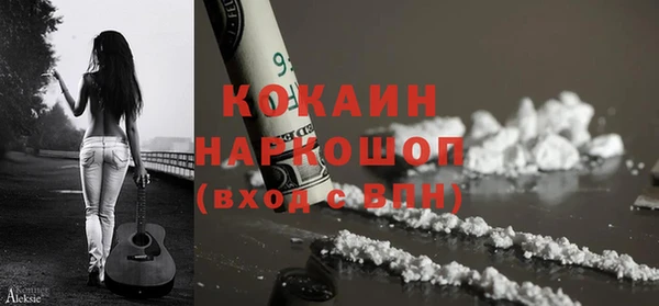 твердый Алзамай