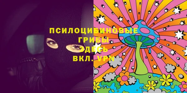 твердый Алзамай