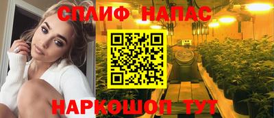 сатива Коммунар