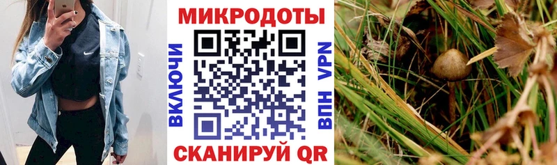 mega вход  Керчь  Псилоцибиновые грибы GOLDEN TEACHER  цены наркотик 
