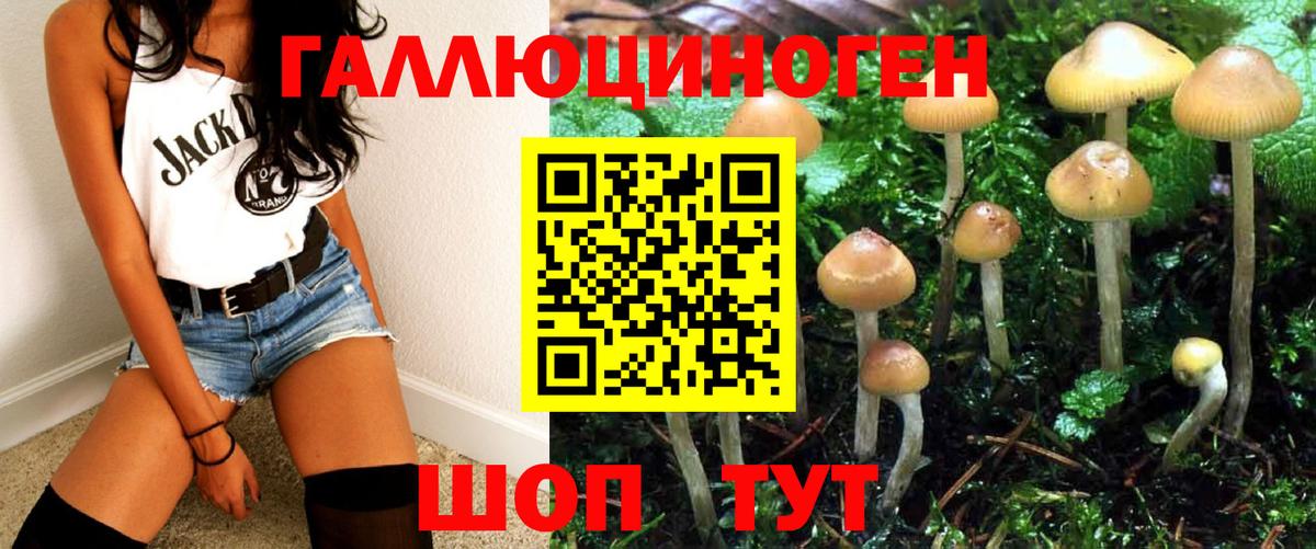 Псилоцибиновые грибы Cubensis  Вход с VPN  сколько стоит  Керчь  Псилоцибиновые грибы мицелий 