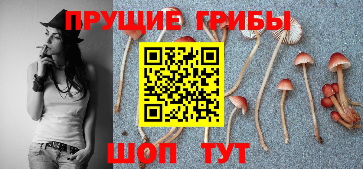 Галлюциногенные грибы мухоморы Керчь